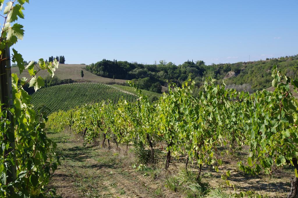 Апартаменты Il Gufo Del Chianti Монтеспертоли Экстерьер фото